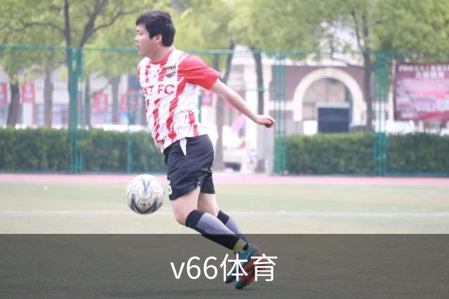 关于v66体育